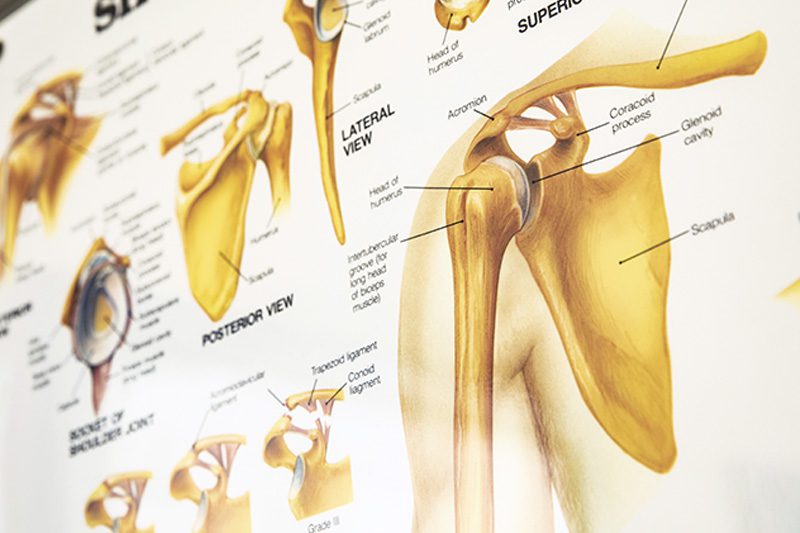 Orthopedic Treatment Shoulder Care in Oklahoma | Gunderson Orthopedic